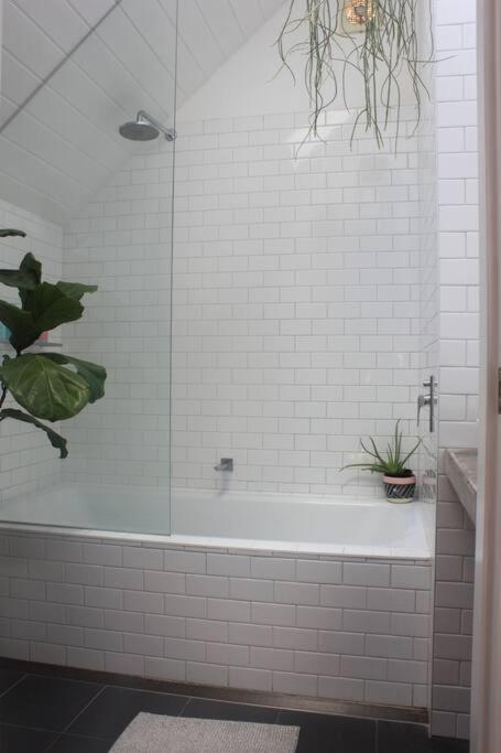 The Marrickville Oasis