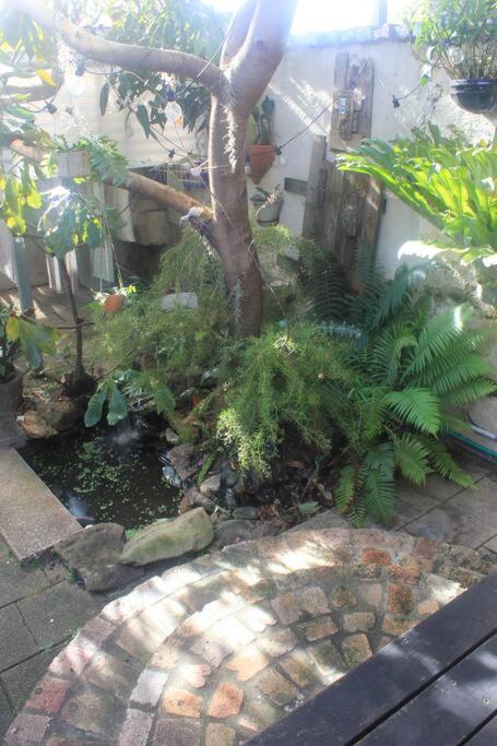 The Marrickville Oasis